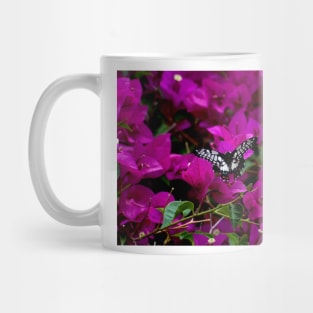 Dingy Swallowtail Mug